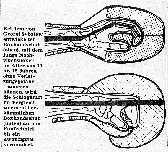 Boxhandschuhe